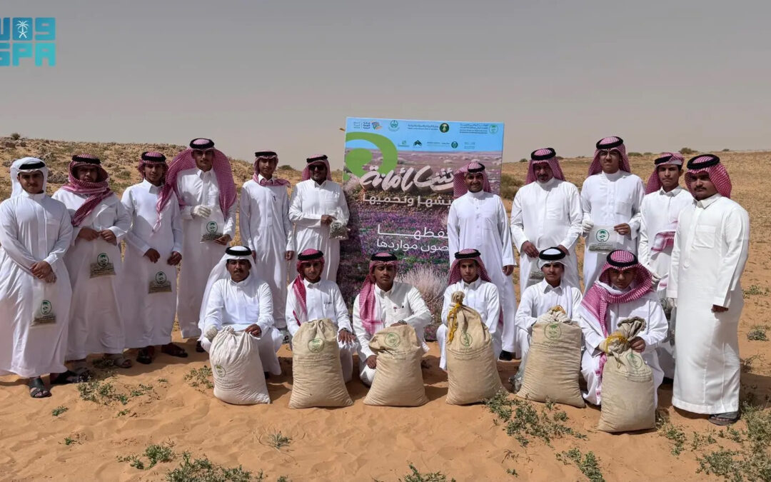 مركز “الغطاء النباتي” والجمعية الزراعية بطلعة التمياط يطلقان مبادرة لجمع بذور “الخزامى”